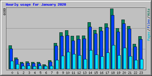 Hourly usage for January 2020