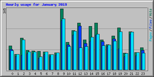 Hourly usage for January 2019